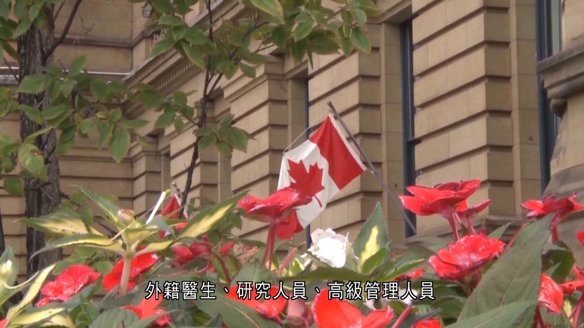 加拿大擴大「快速通道」移民計劃　涵蓋軍人、運輸業等