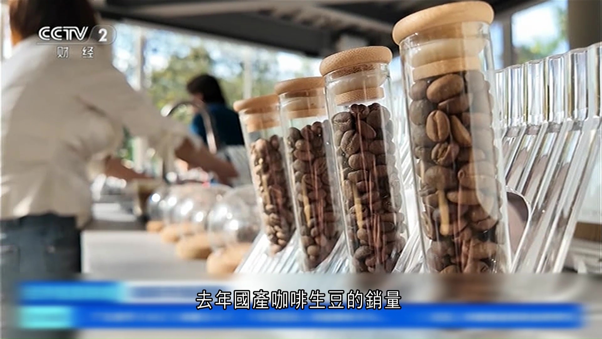 雲南咖啡豆國內收購價罕見「倒掛」高於出口　企業轉攻內銷