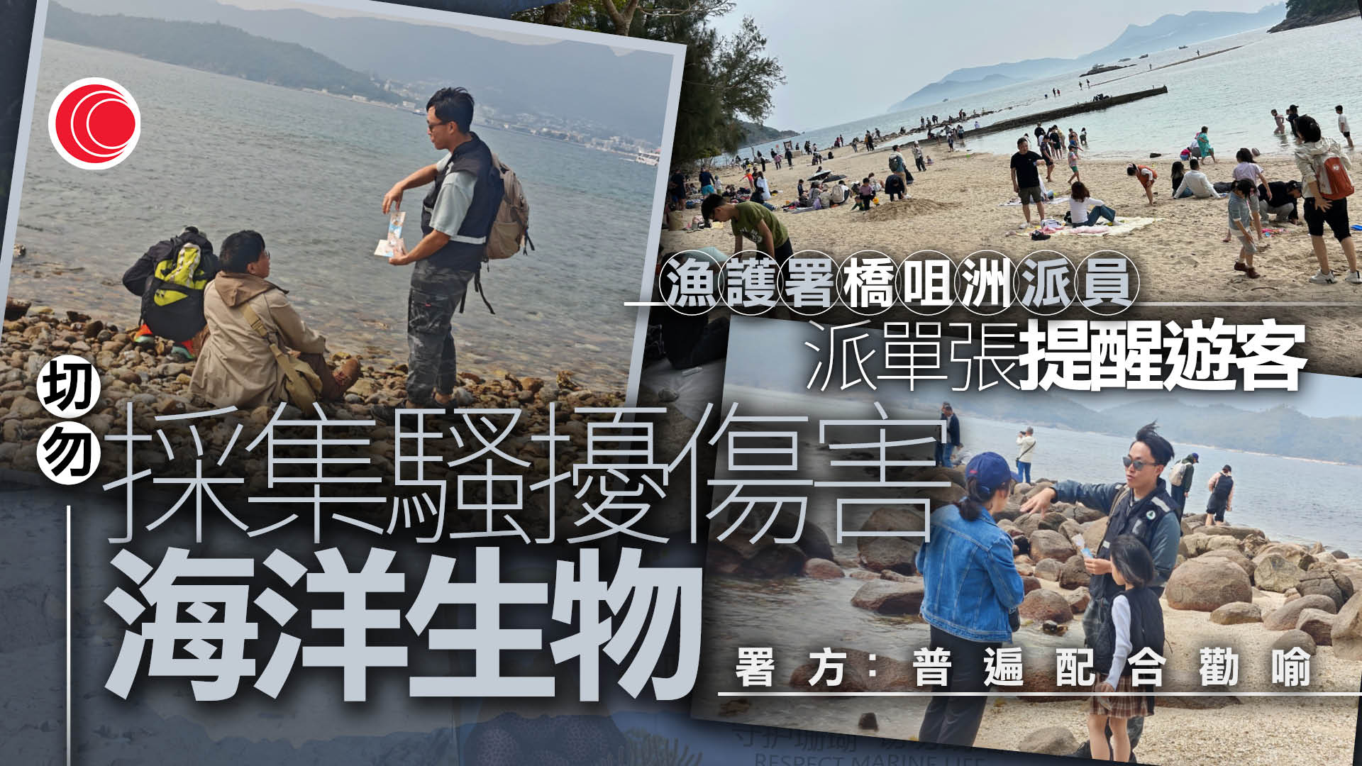 漁護署：正研究將橋咀洲納入海岸公園