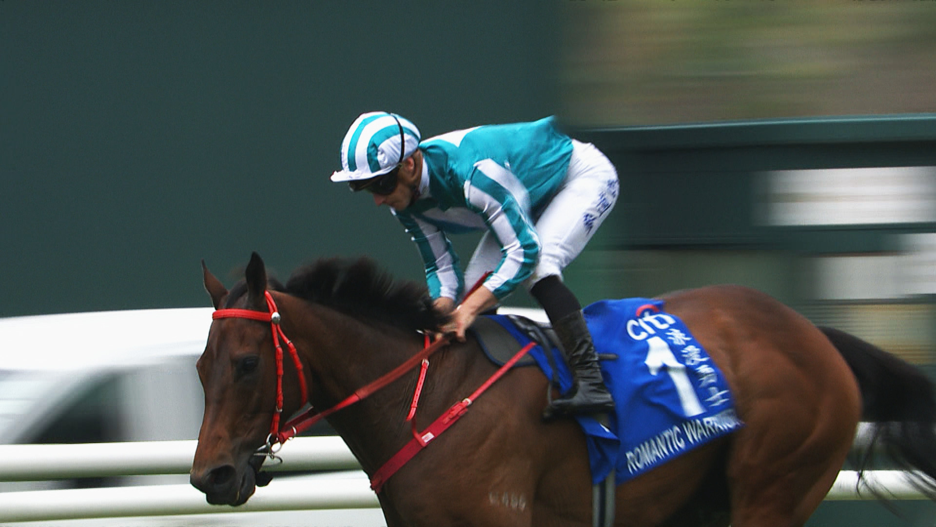 「浪漫勇士」金盃封王劍指三冠　「紫荊盛勢」稱霸經典盃