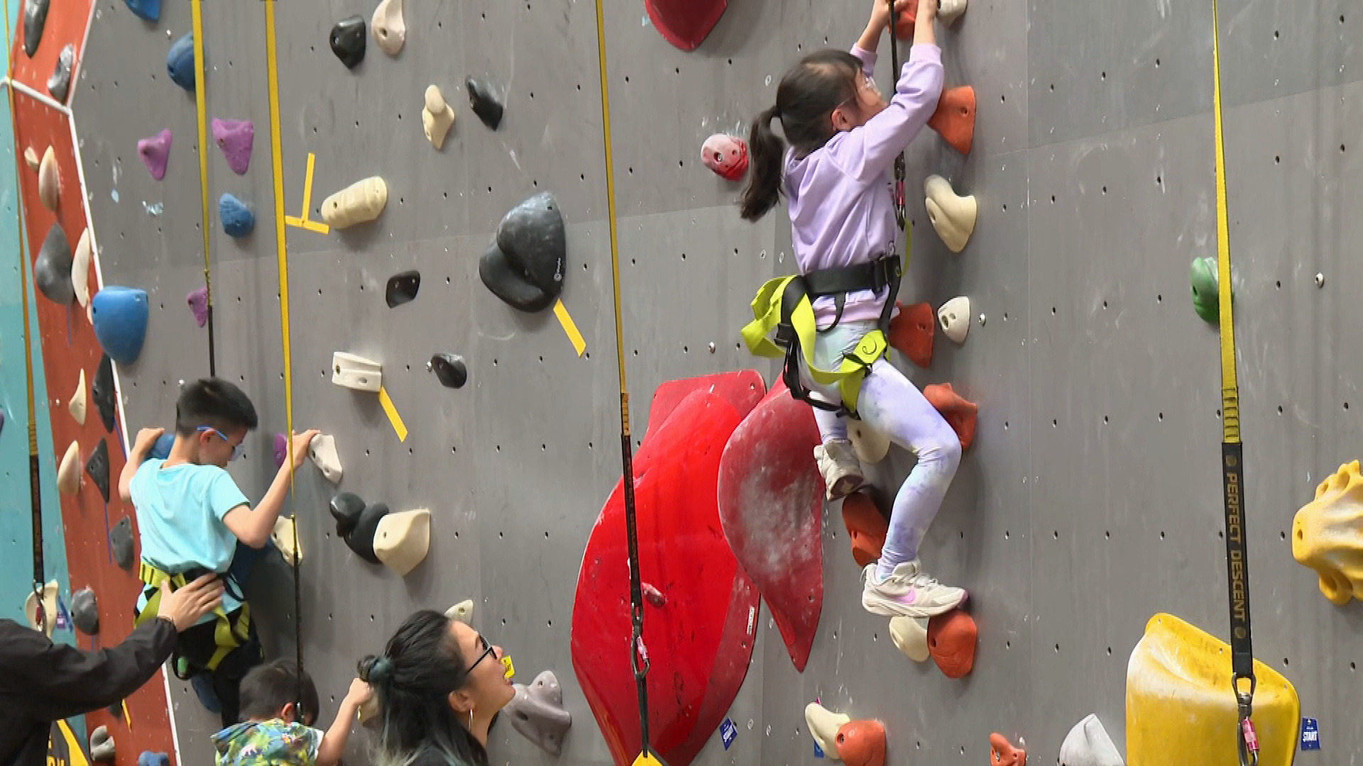 啟德體育園｜開幕一周年辦社區同樂日　1,500名居民可免費體驗八項運動