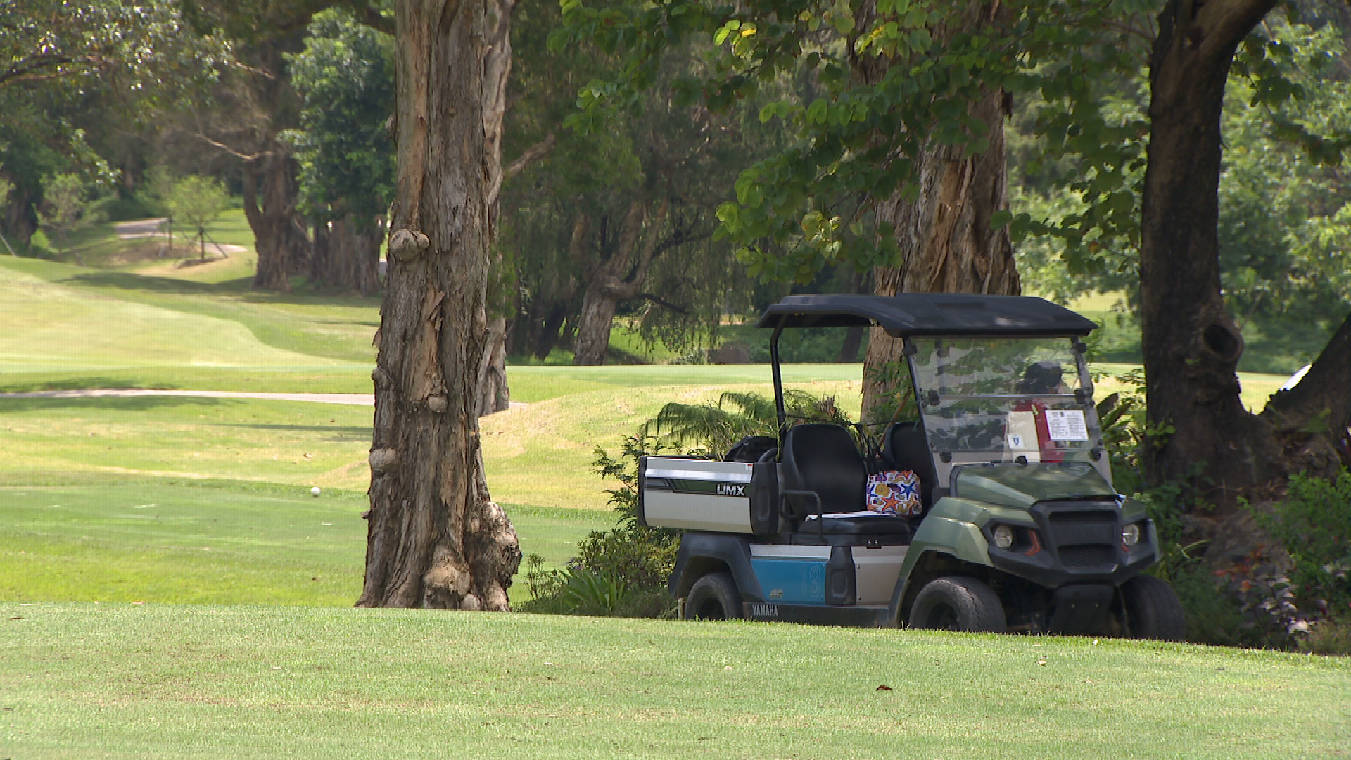 LIV GOLF香港站周四展開　粉嶺高球場實施臨時交通改道