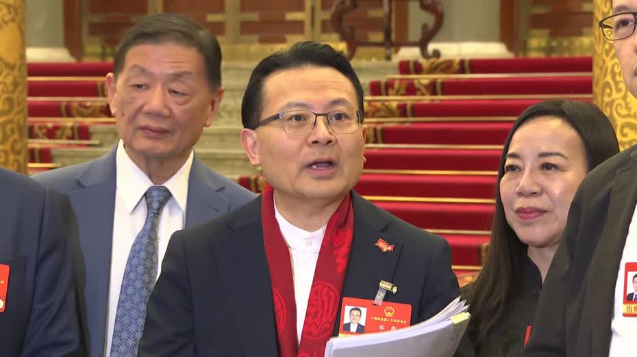 兩會｜陳勇：香港團建議不追求每項全團聯署　關鍵凝聚真知灼見