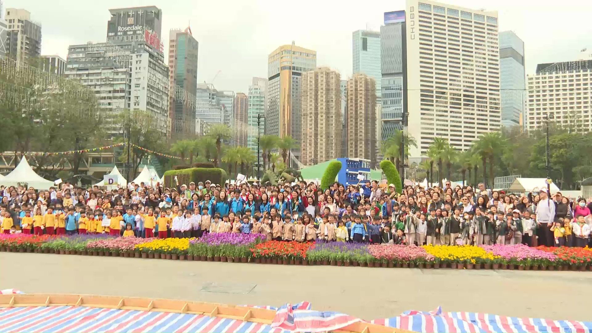 維園花展｜本月20日開鑼　逾千學生砌「港島花徑」花壇　呈現大坑舞火龍等場景