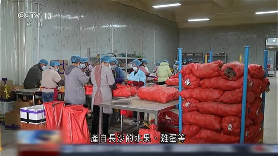 湖南長沙海關推行「生鮮集拼」　靈活組貨更合香港市場需求