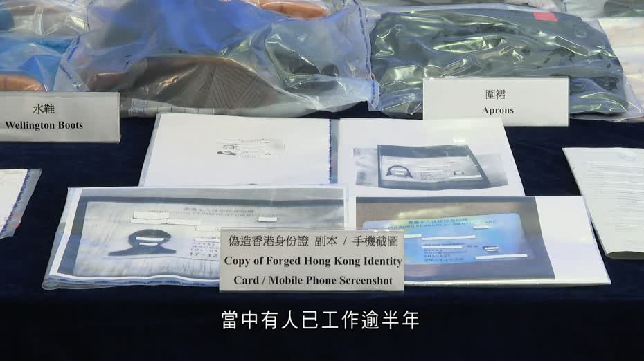 入境處打擊非法勞工拘25人　多涉飲食、清潔行業