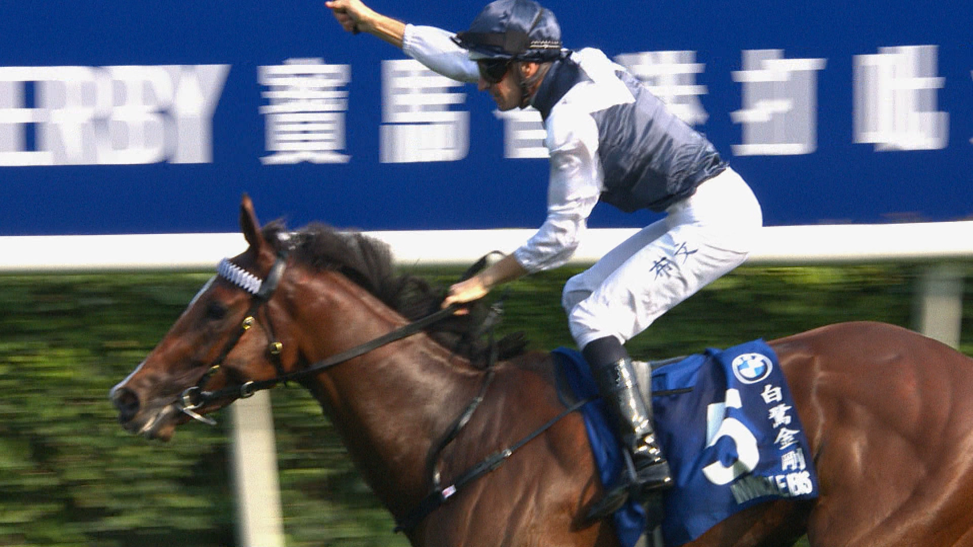 「白鷺金剛」香港打吡大賽封王　破賽事歷來最快時間