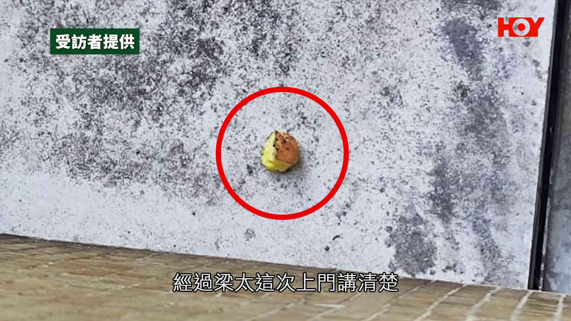 一線搜查｜屯門婆婆窗外餵雀兩年　累樓下冷氣機變蟻竇　住戶求助無門批管理處敷衍跟進