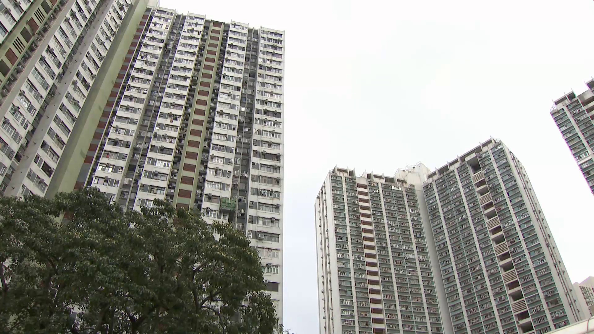 大維修｜廉署、警方聯手打擊圍標黑社會　拘42人　涉大埔富善邨等三屋苑合約