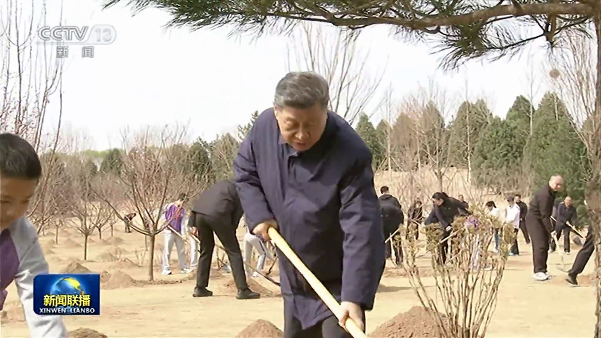習近平參加首都義務植樹活動並發表重要講話