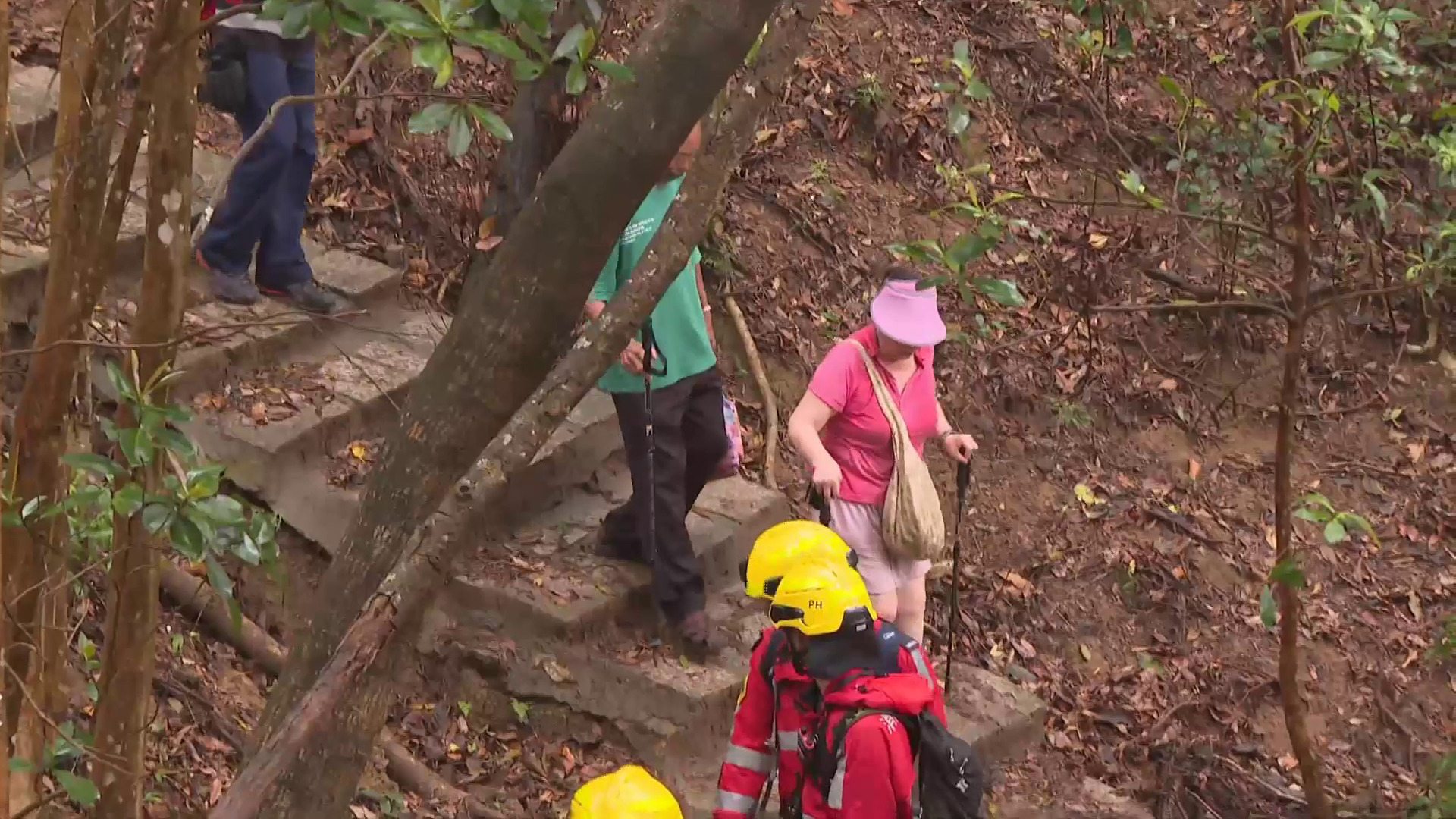 大埔夫婦行大刀屻遇黃雨迷路　消防登山搜救