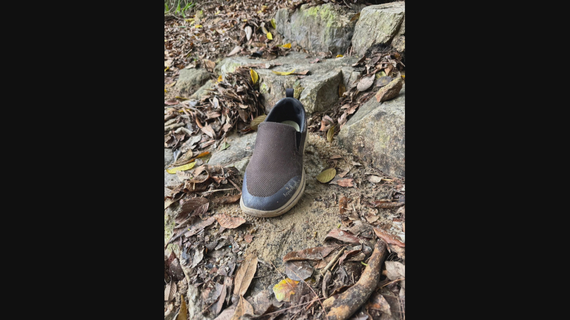 大欖涌行山失蹤｜內地翁至今仍未尋回　有行山人士稱曾遇夫婦　專家提醒勿暴雨下前行