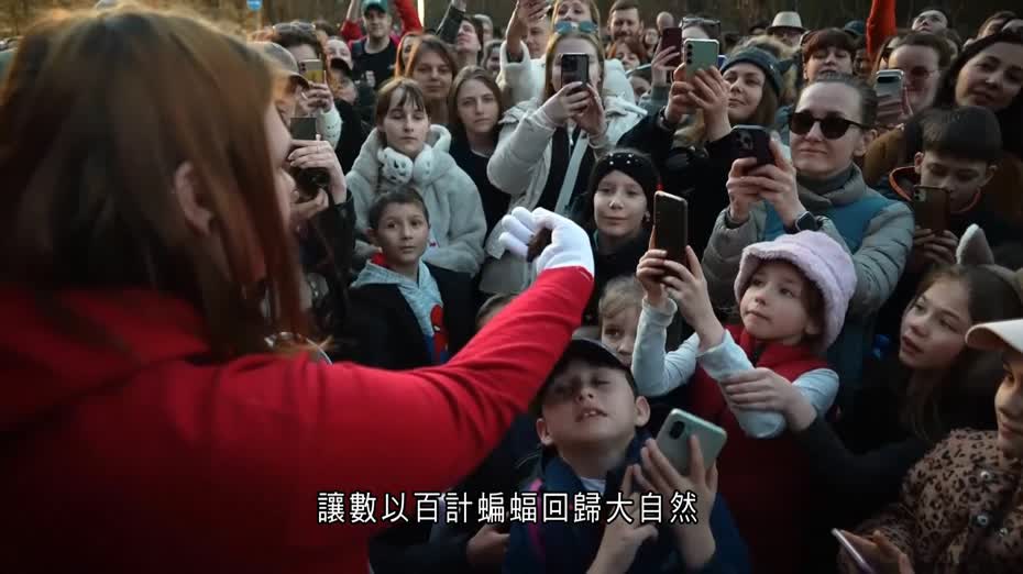 俄烏戰爭｜因戰火出現整群滅絕　烏克蘭動物組織放生獲救蝙蝠