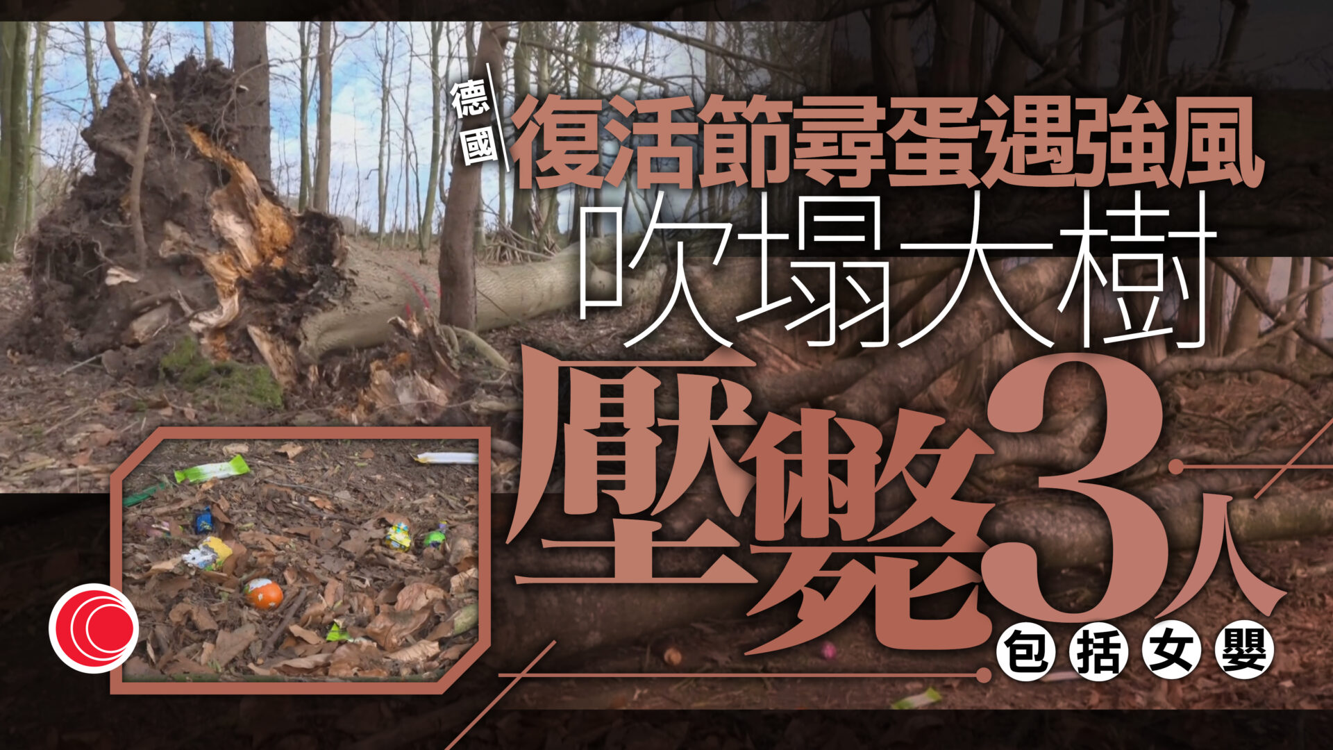 德國復活節活動遇強風　大樹倒塌釀3死、包括10月大女嬰