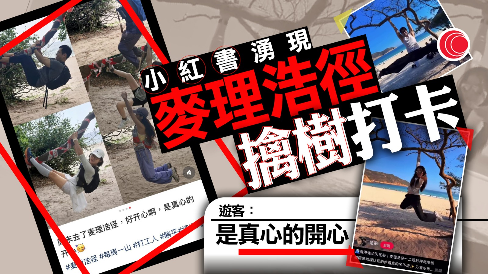 小紅書湧現麥理浩徑「擒樹打卡」　樹枝纏警示帶仍遭大力扯　網民：好心酸
