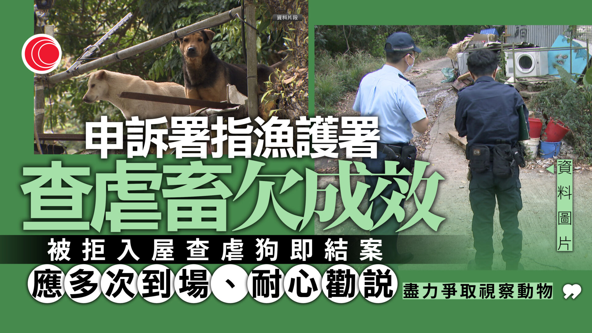 申訴署揭漁護署打擊虐畜欠成效　倡賦權入屋調查、提高罰則　如社會視若無睹即「有病」