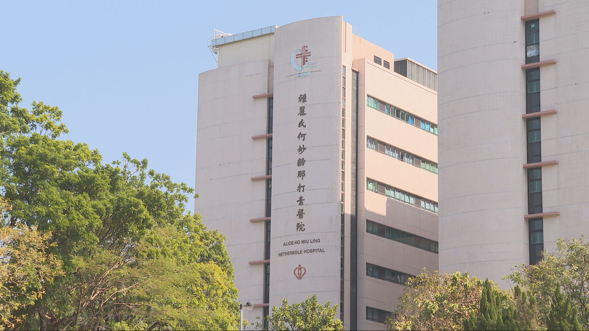 登革熱｜近兩年來首宗本地個案　太和邨21歲男報稱竹篙灣地盤被蚊叮咬