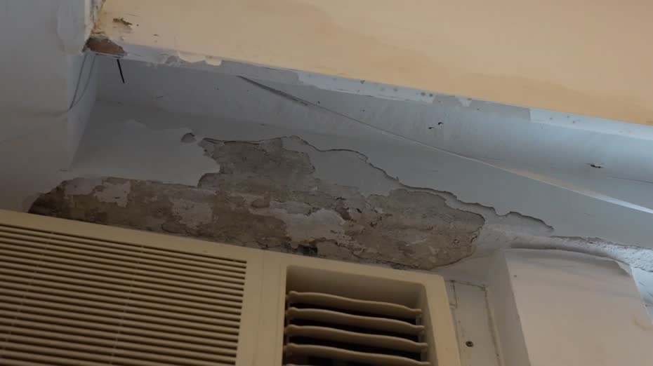 私樓滲水｜測量師學會指新程序處理爭議快一半　物管業界料業主更願接受調解