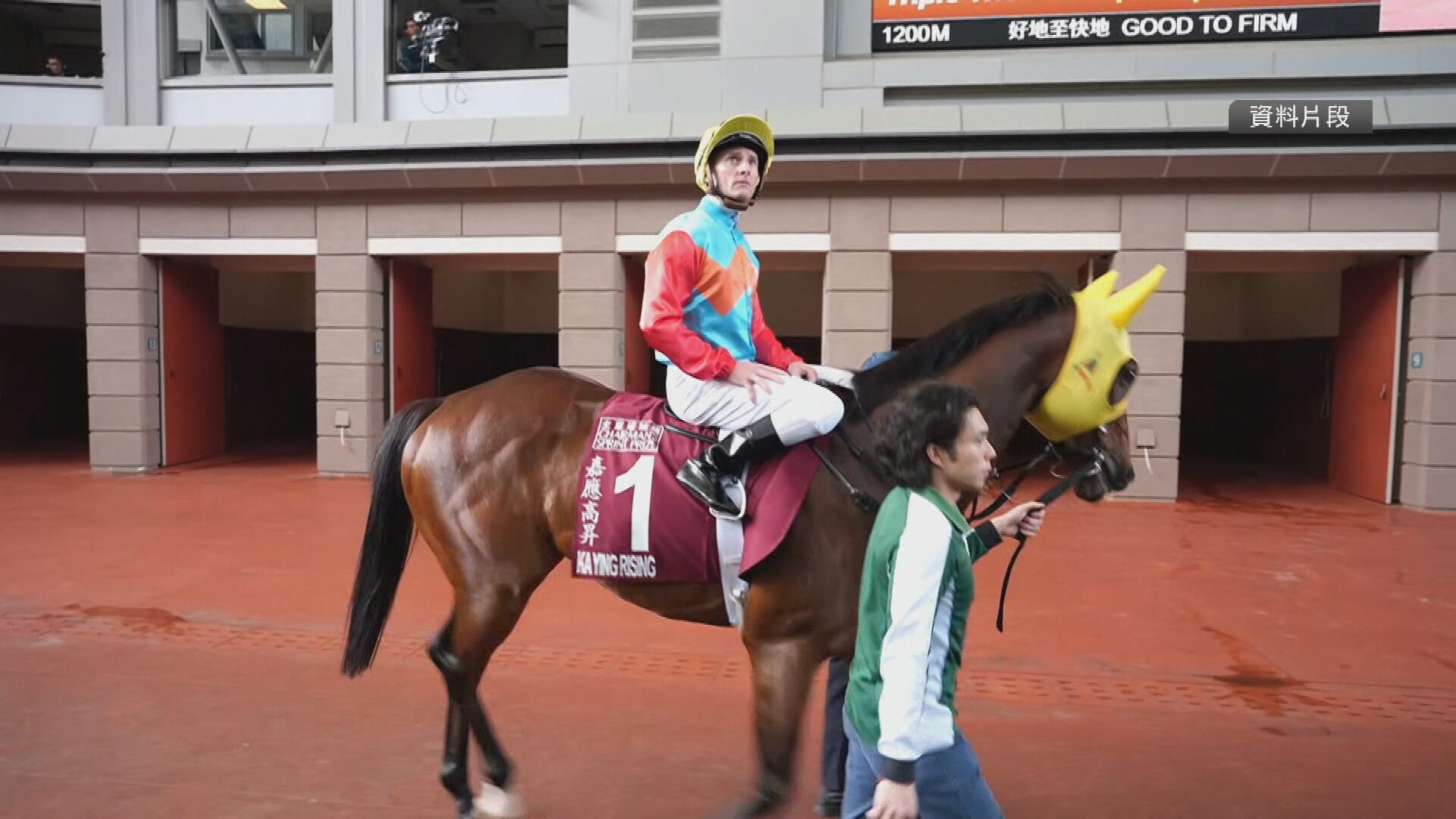 「嘉應高昇」膺世界最佳馬匹排名榜榜首　「浪漫勇士」居次