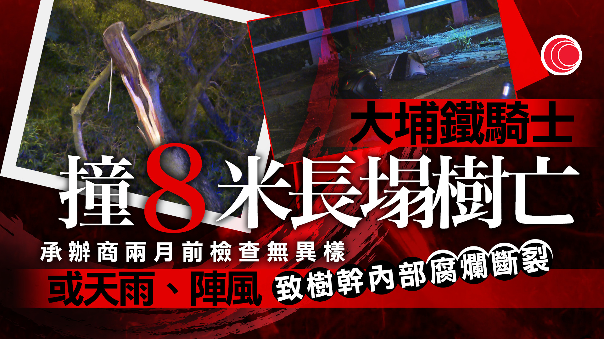 大埔鐵騎士撞塌樹亡　路政署：天雨陣風致樹幹內部腐爛斷裂