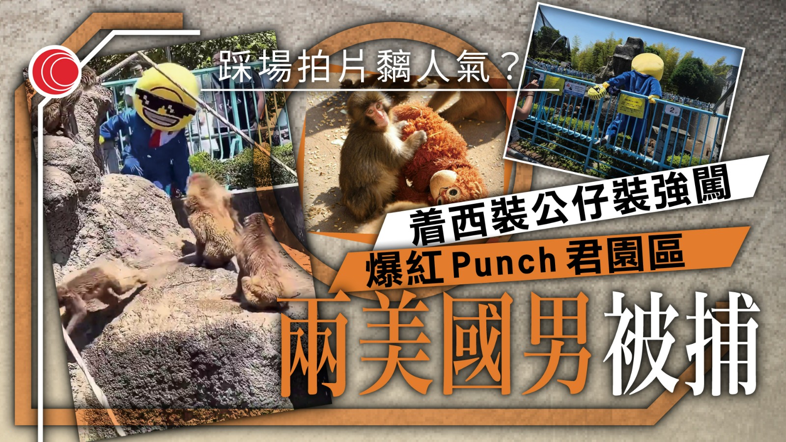 闖人氣「Punch君」猴山拍片　兩「搞怪」美籍男嚇散猴群被捕　累吉祥物見面會取消