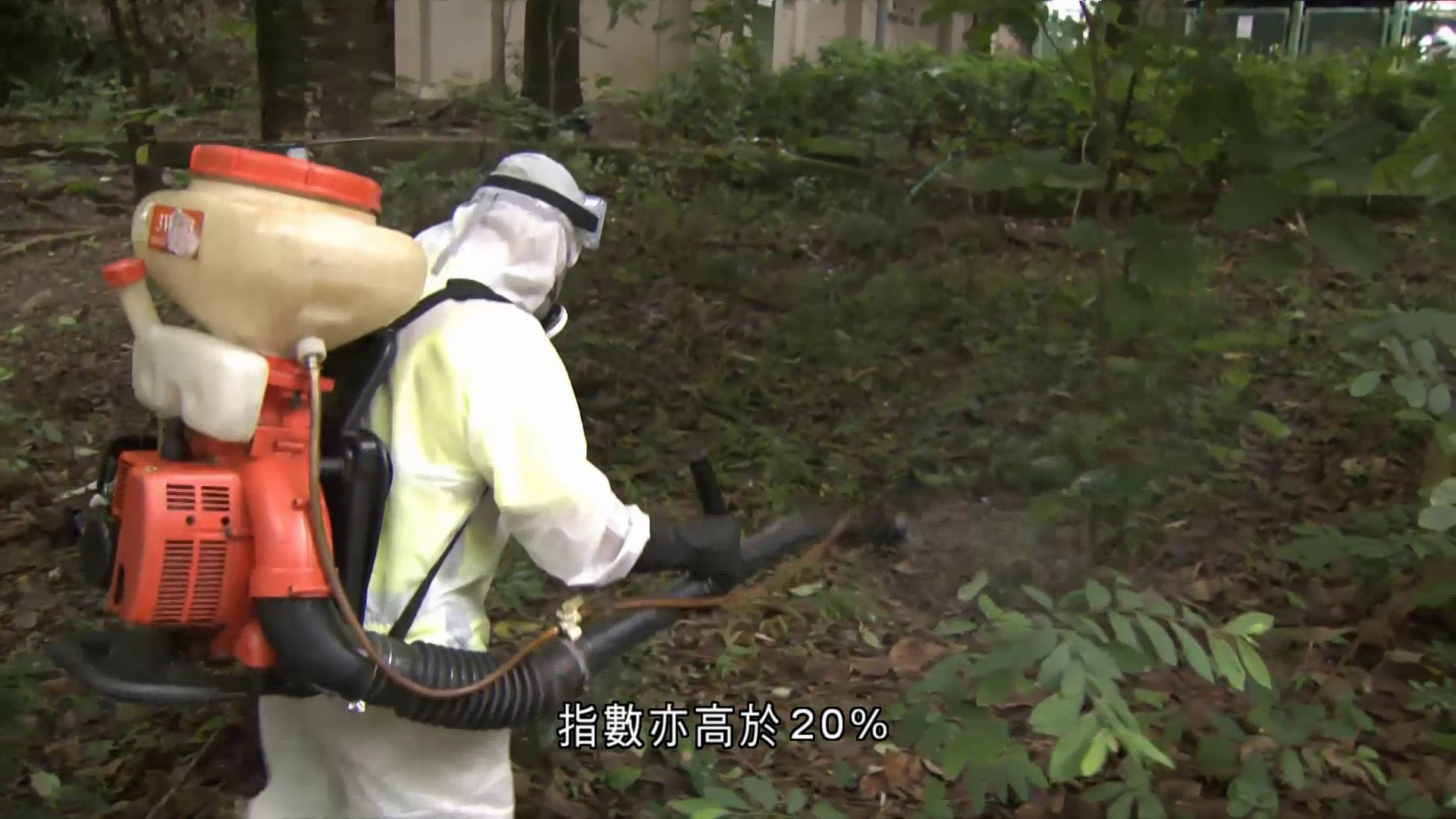 大圍白紋伊蚊誘蚊器指數高達46%　食環署：鎖定14區密集控蚊