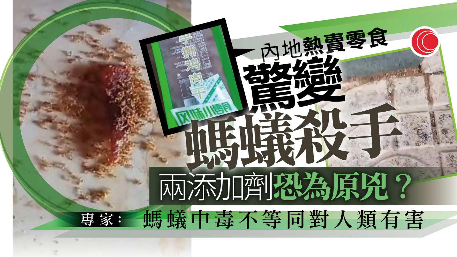 內地熱賣零食手撕雞肉乾　螞蟻食完離奇集體死亡惹食安恐慌　2食品添加劑成關鍵