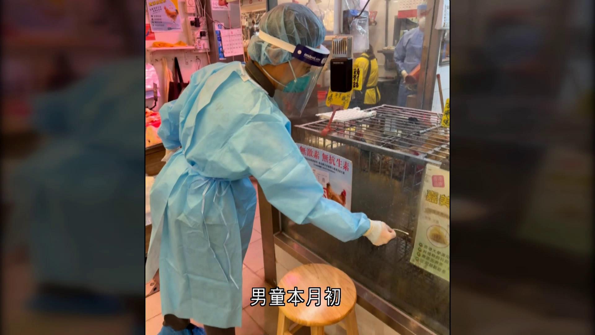 兩歲男童感染甲型H9禽流感　曾到禾輋街市雞檔觀看家禽