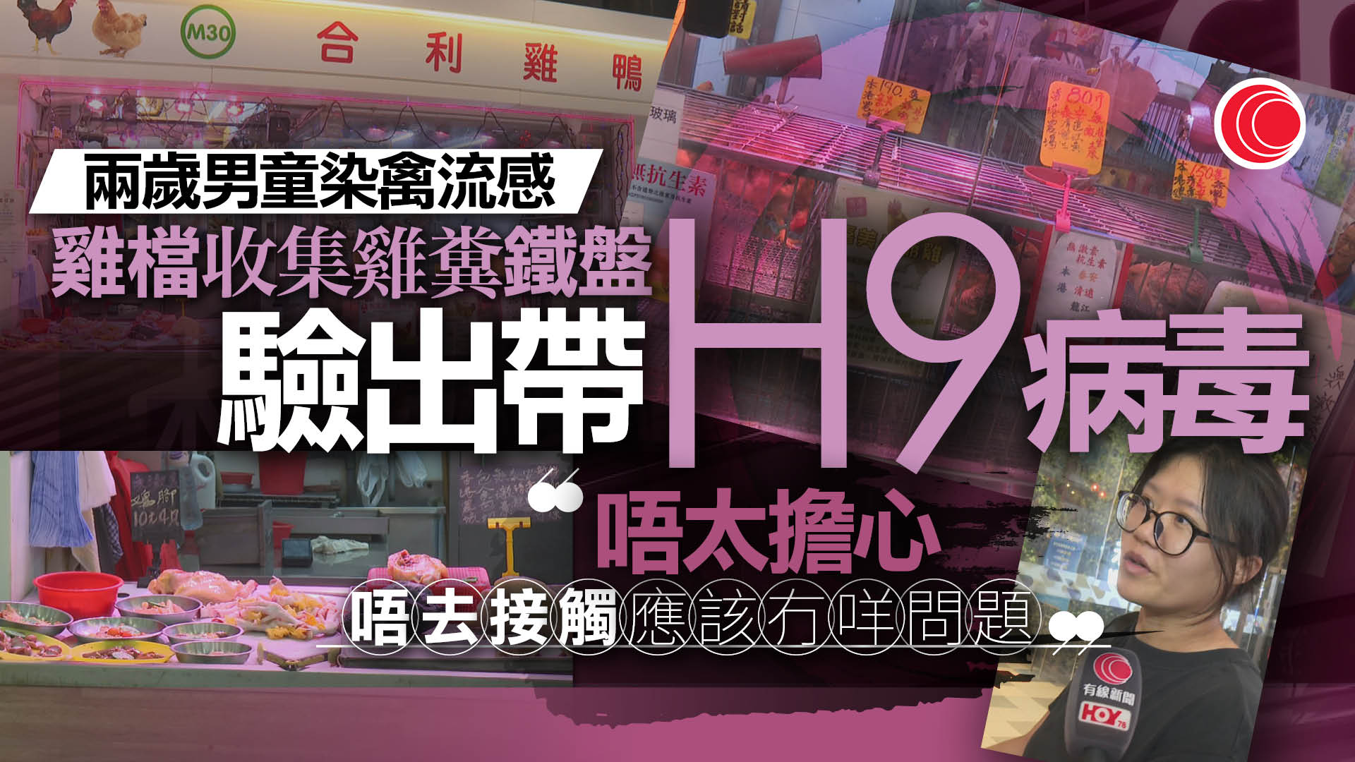 禽流感｜兩歲童染H9N2　疑禾輋街市雞檔「中招」　市民：會避免子女觸碰家禽