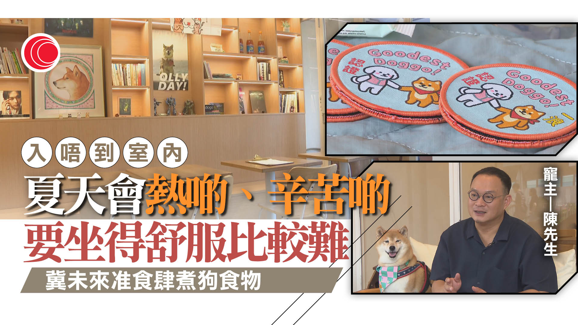 狗隻友善食肆｜明起實施、938間完成牌照手續　店主料生意升一成、盼未來准煮狗食物
