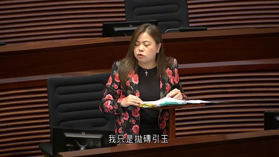 有議員提中東財團冀在港興建大型度假村　羅淑佩說樂意聽取計劃