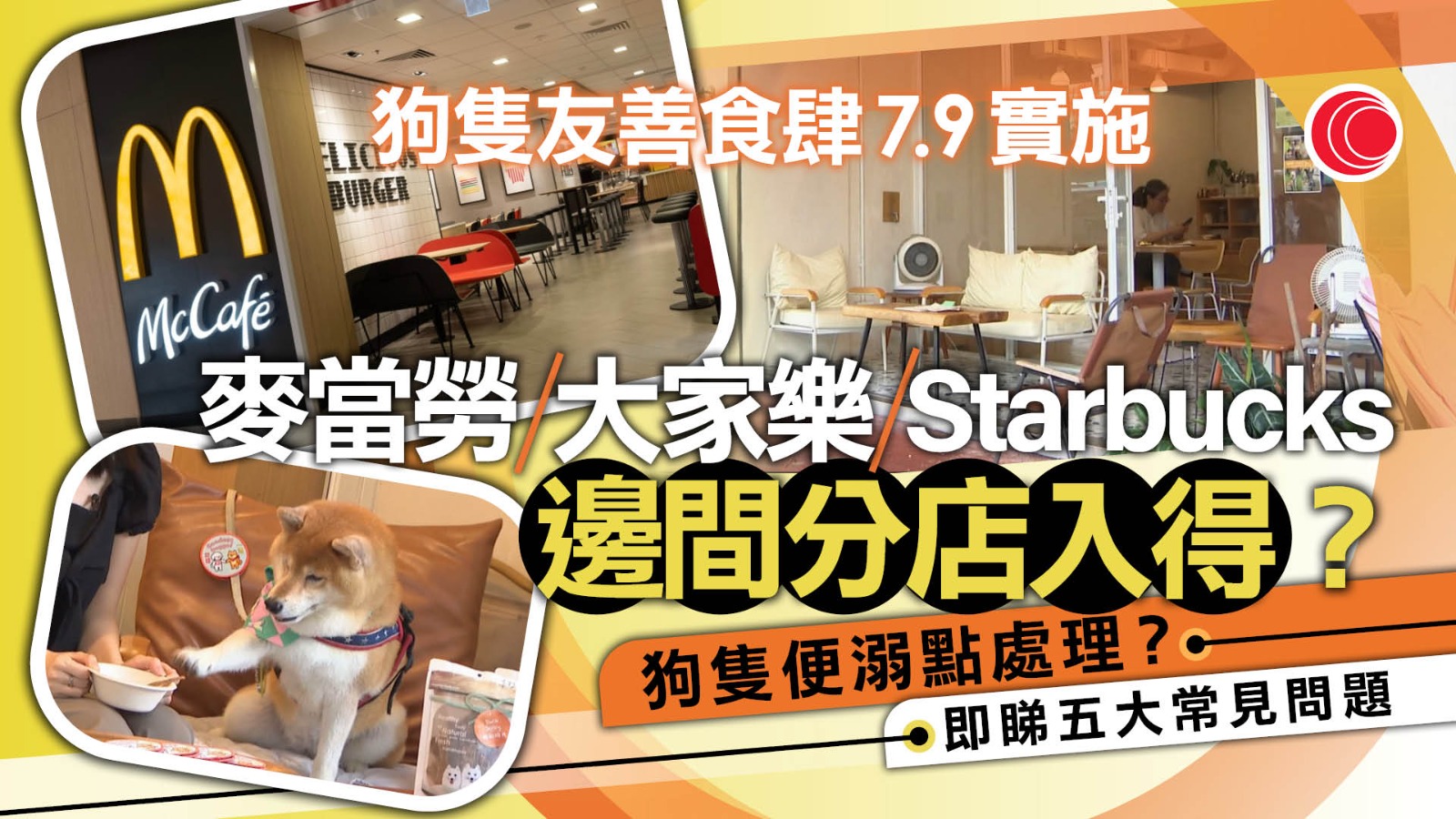 狗隻友善食肆．完整名單｜7.9實施　麥當勞/Starbucks/連鎖餐廳、酒吧都入得？　即睇狗主四大守則