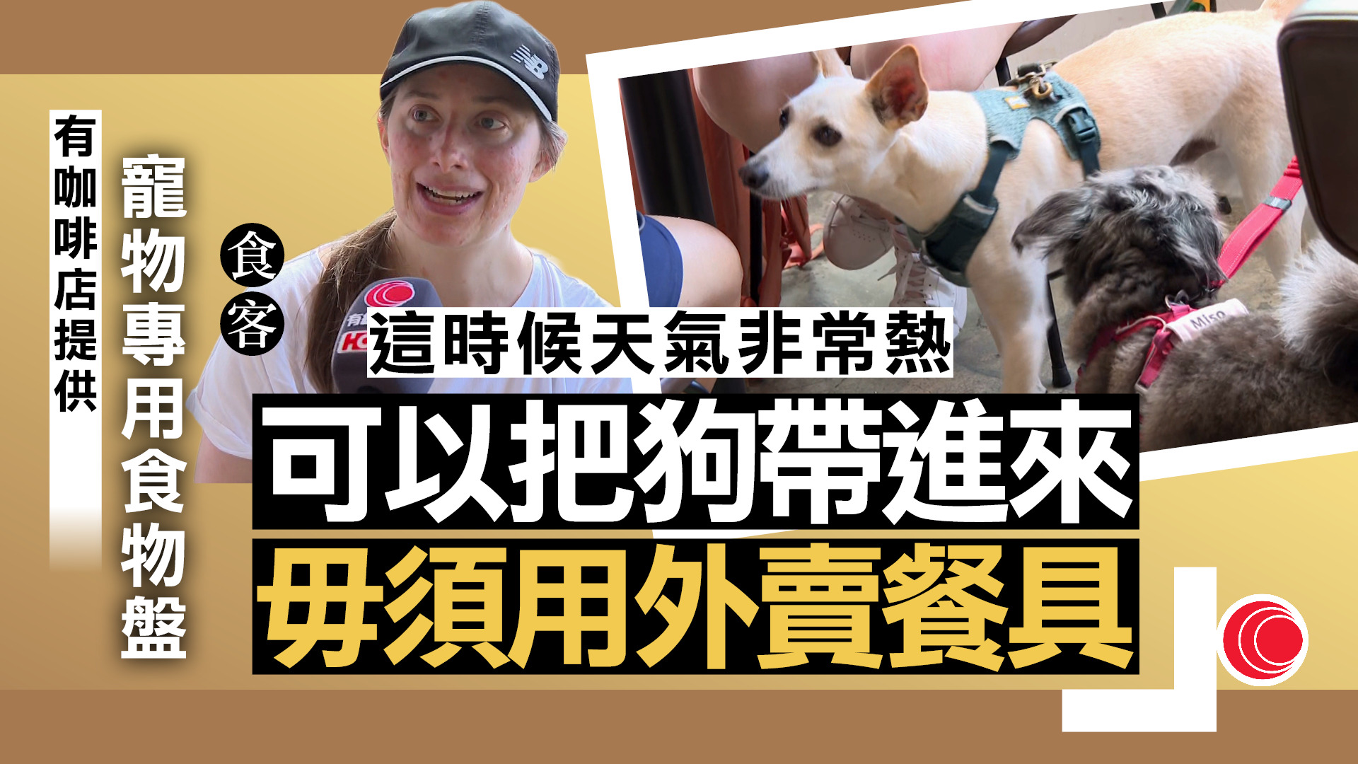 狗隻友善食肆｜今起實施　狗主大讚方便：有冷氣、舒服好多　咖啡店料生意增三成