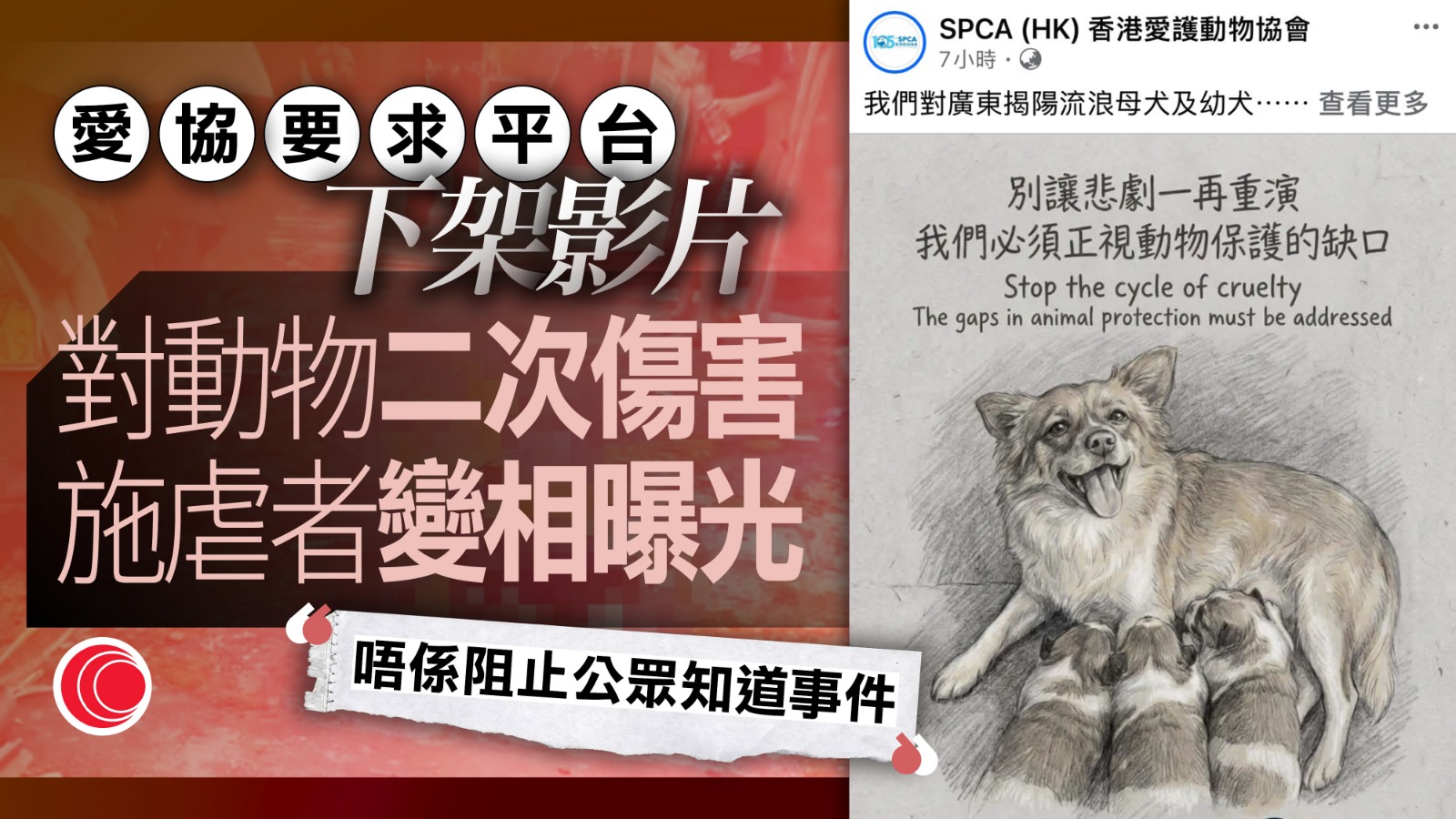 揭陽虐狗案｜愛協要求平台刪片　網民怒轟：隻狗識上網？同施虐者無分別