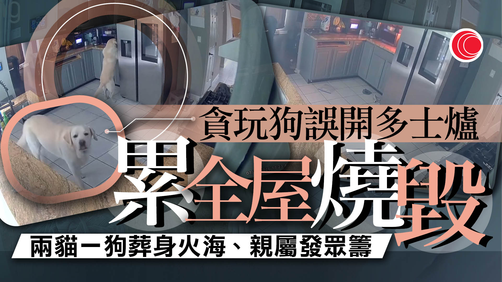 拉布拉多犬誤開多士爐燒毀大屋　兩貓一狗葬身火海　屋主損失20萬美元