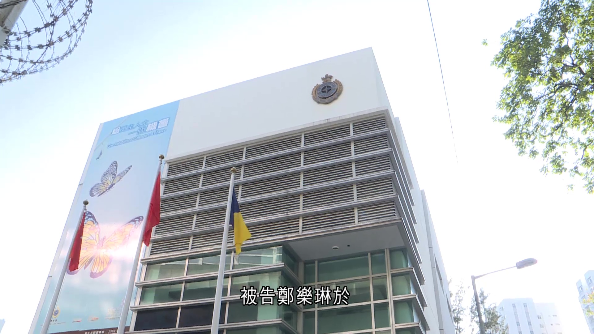 還柙犯自編自導藏槍藏毒案　一女子認洗黑錢罪囚7個月