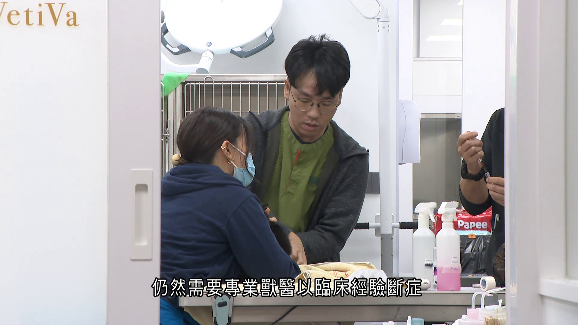 智創未來｜本地初創研AI寵物健康App出海　獸醫：科技釋放時間 助精準治療