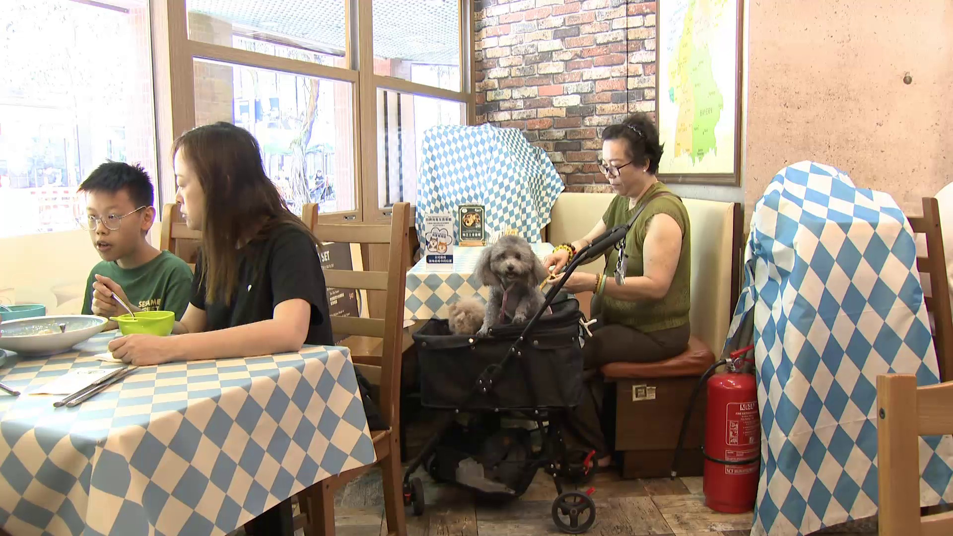 狗隻友善食肆｜實施兩周31間食肆退出　謝展寰：主因客人不接受　倡申請前考慮定位、客源