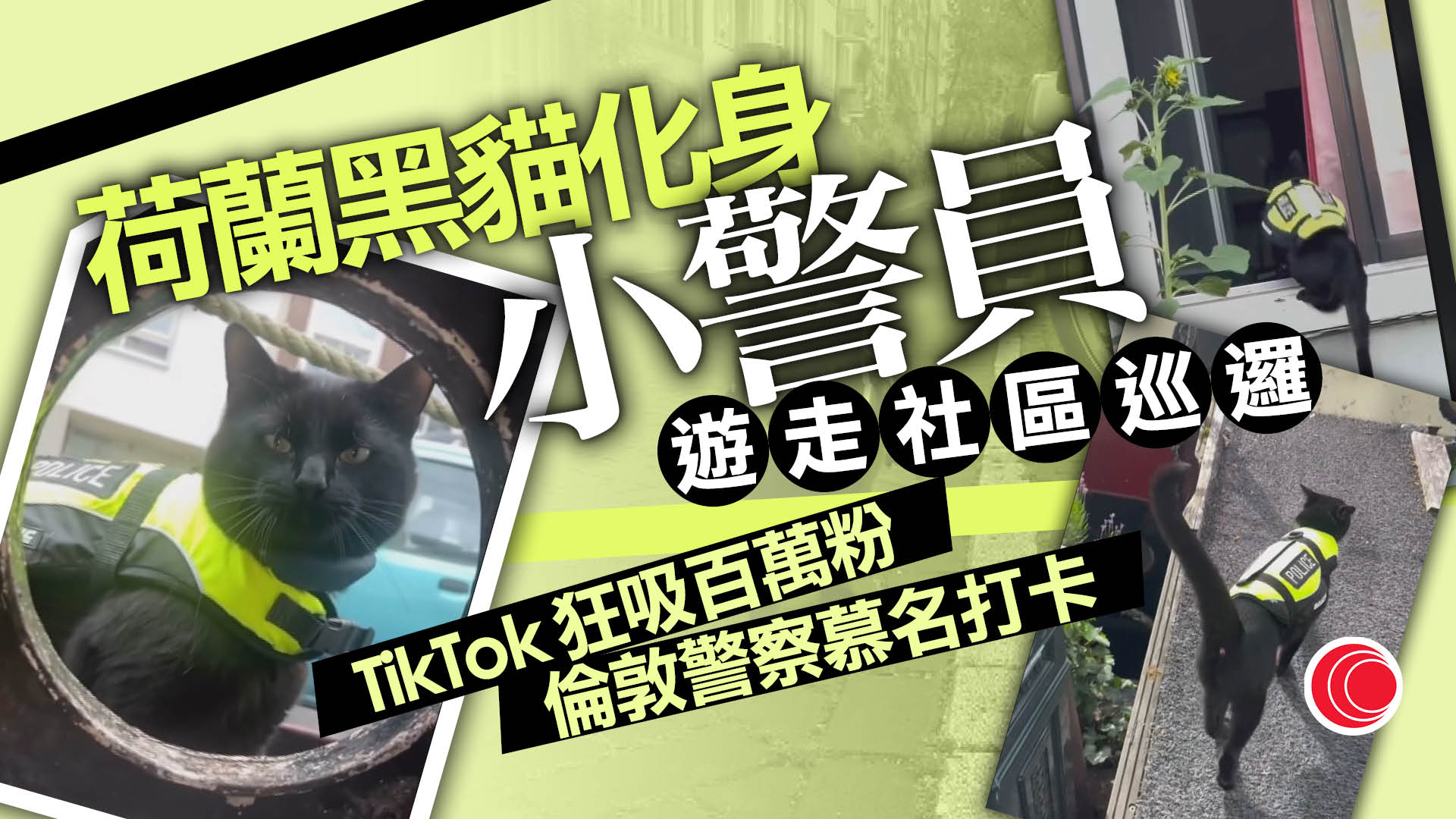荷蘭黑貓化身警員社區巡邏爆紅　網上百萬點擊吸引港人打卡