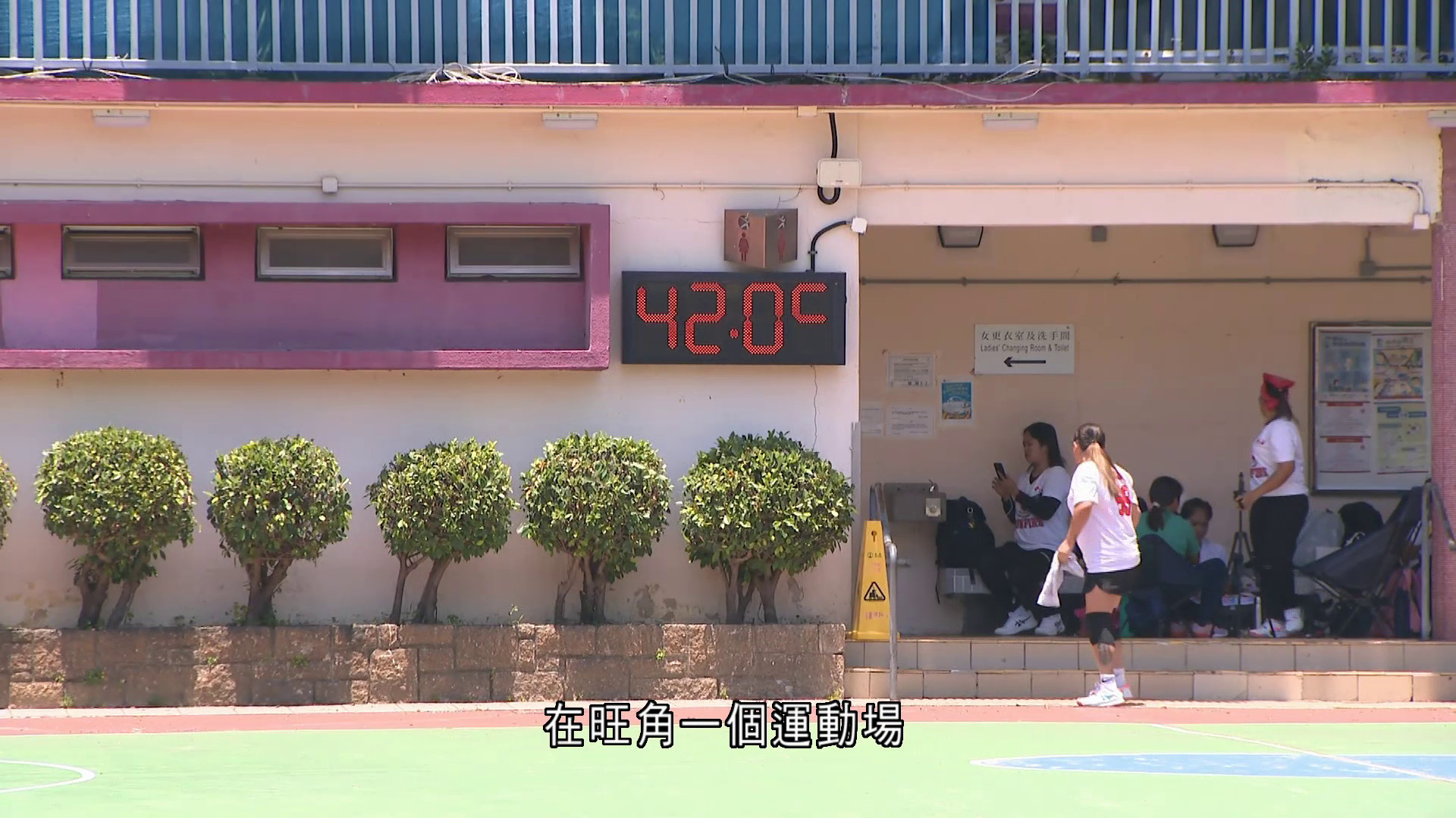 白海豚｜天文台錄35.8度創今年最高　旺角運動場高達42度