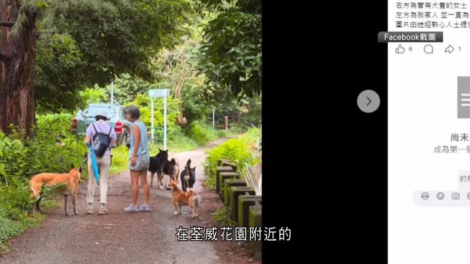 荃灣引水道狗咬狗　漁護署：已聯絡受傷狗隻主人索取資料調查
