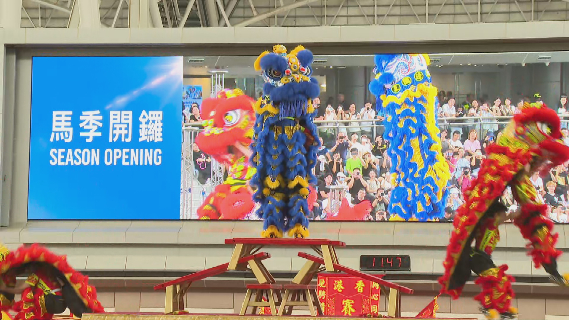 馬季開鑼｜沙田馬場人頭湧湧　馬迷表現興奮：睇到啱就買、開心下