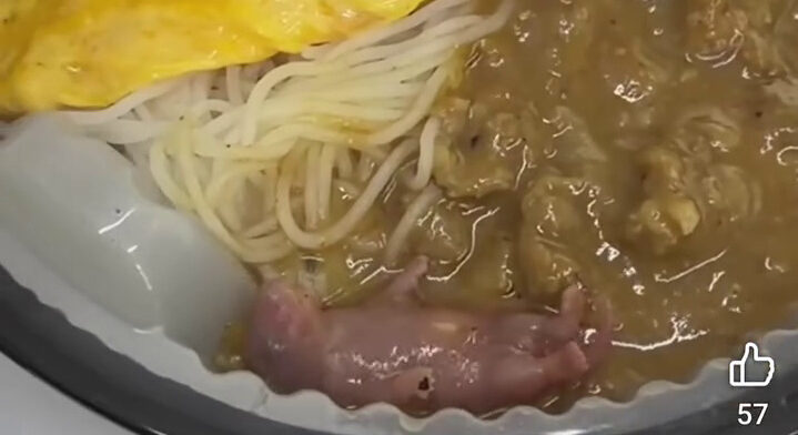 有片｜葵涌冰室沙嗲牛外賣　驚現「係咁郁」初生鼠B　網民：唔似意外跌落去