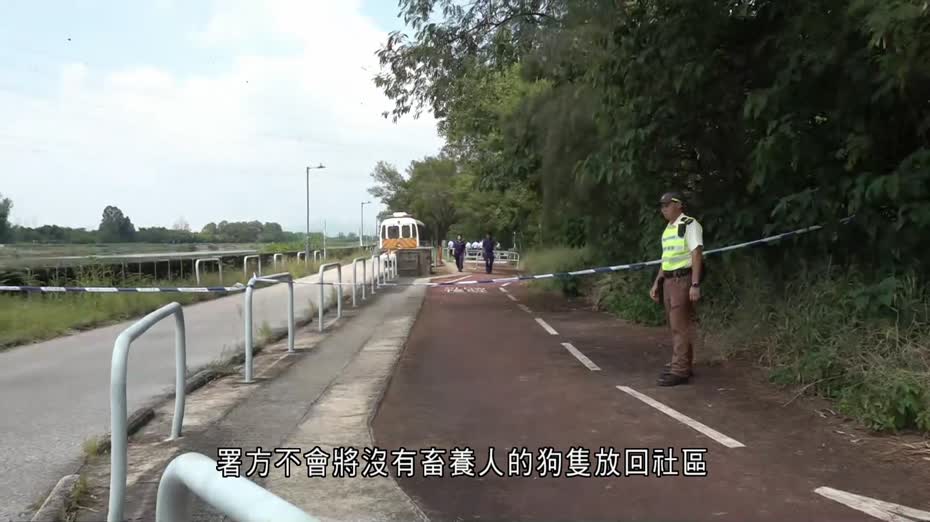 元朗狗咬人｜漁護署：捕捉流浪狗行動完成　一前線人員被咬傷手、留院觀察