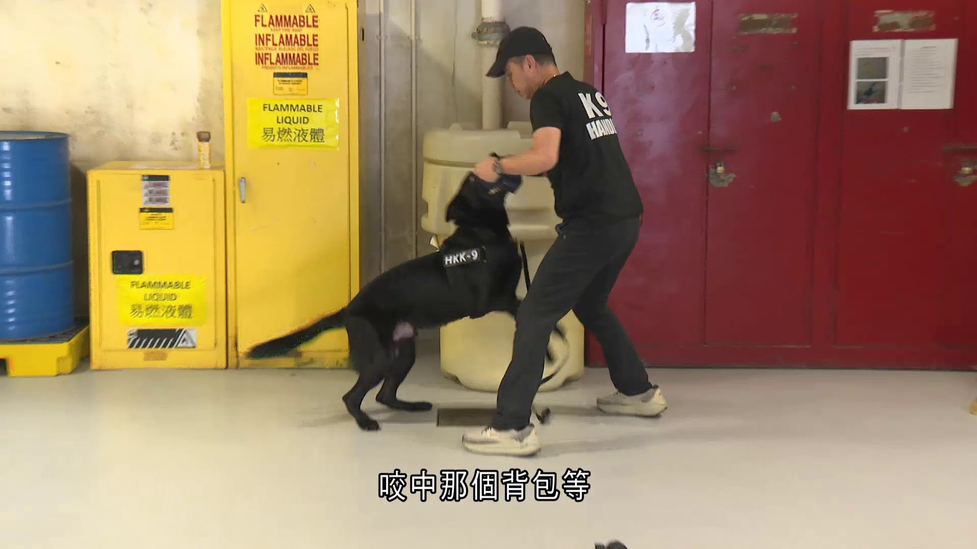 元朗狗咬人｜職安局設防咬課程　教前線員工解困、預防技巧　專家：永遠唔好背向狗隻