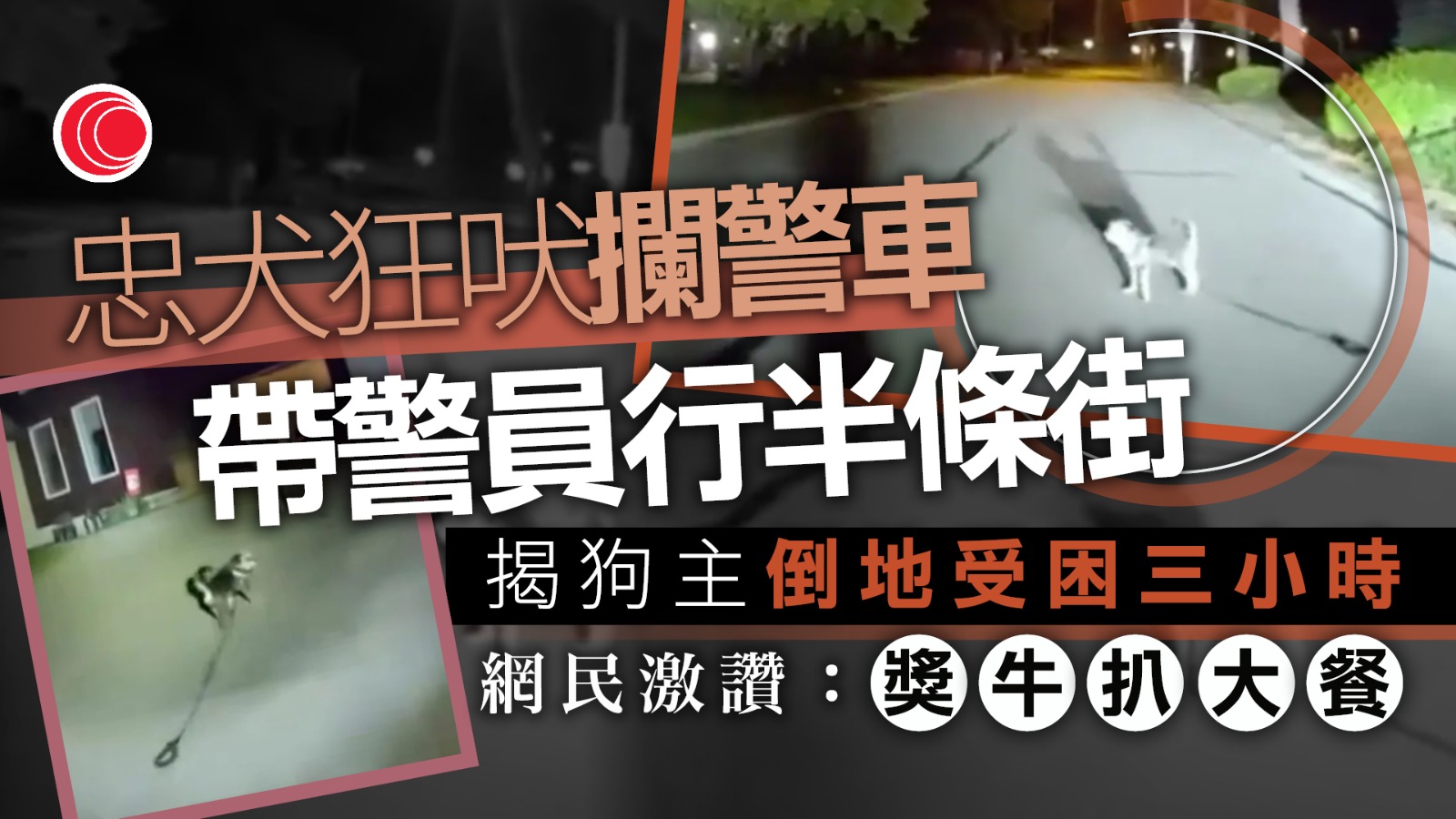 有片｜主人跌倒重創突癱　醒目犬跑出街「攔警車」　有綁狗繩成救命線索