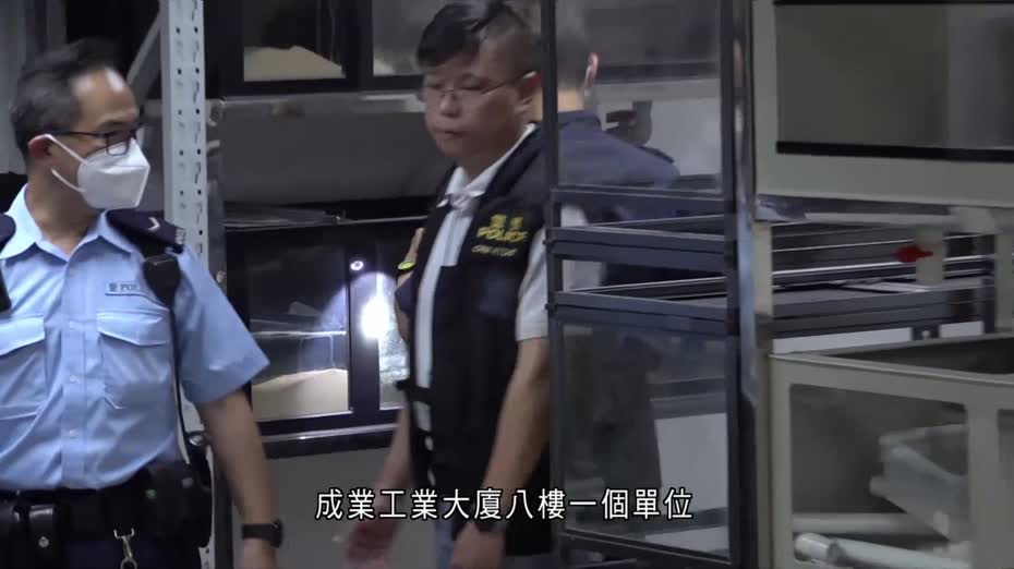 觀塘工廈業主收樓　驚見單位逾20隻龜、蜥蝪等屍體